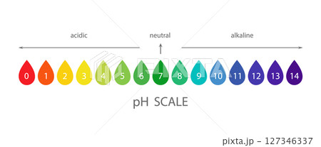 PH Scale chart. Indicator of indications, measurements and table of results. Ph analysis or chemical test. Flat Vector illustration PH Scale chart. Indicator of indications, measurements and table of results. Ph analysis or chemical test. Flat Vector illustration 127346337