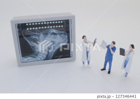 Mini Doctors Analyzing Medical X Rays in Clinical Setting Mini Doctors Analyzing Medical X Rays in Clinical Setting 127346441