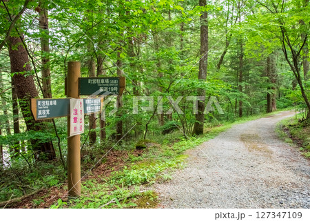 『寝覚の床』寝覚の床への遊歩道 『寝覚の床』寝覚の床への遊歩道 127347109