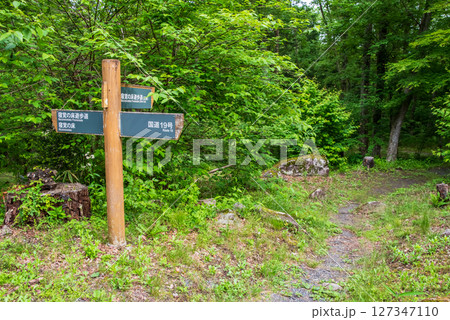 『寝覚の床』寝覚の床への遊歩道 『寝覚の床』寝覚の床への遊歩道 127347110