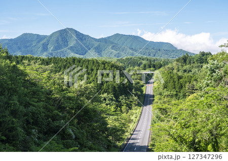 新緑・初夏のドライブイメージ (蒜山高原) 新緑・初夏のドライブイメージ (蒜山高原) 127347296
