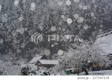京都府南丹市美山町雪積もるかやぶきの里の撮影したもの 京都府南丹市美山町雪積もるかやぶきの里の撮影したもの 127347319
