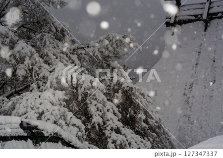 京都府南丹市美山町雪積もるかやぶきの里の撮影したもの 京都府南丹市美山町雪積もるかやぶきの里の撮影したもの 127347337