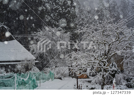 京都府南丹市美山町雪積もるかやぶきの里の撮影したもの 京都府南丹市美山町雪積もるかやぶきの里の撮影したもの 127347339