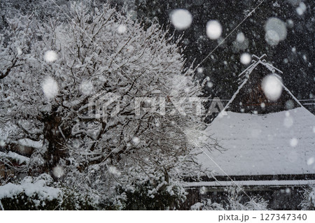 京都府南丹市美山町雪積もるかやぶきの里の撮影したもの 127347340