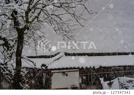 京都府南丹市美山町雪積もるかやぶきの里の撮影したもの 127347341