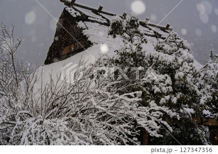 京都府南丹市美山町雪積もるかやぶきの里の撮影したもの 京都府南丹市美山町雪積もるかやぶきの里の撮影したもの 127347356