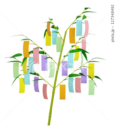 七夕の笹　短冊多数タイプ 127348492