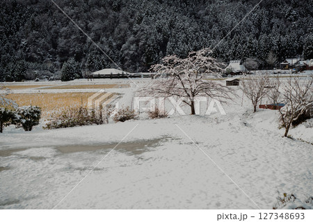 京都府南丹市美山町雪積もるかやぶきの里の撮影したもの 127348693