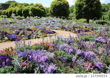ぎふワールドローズガーデンー春のフラワーリビングガーデンで咲く花々 ぎふワールドローズガーデンー春のフラワーリビングガーデンで咲く花々 127349353