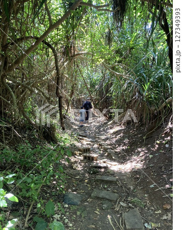 海へ続く道 127349393