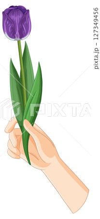 Hand Holding a Purple Tulip Illustration Hand Holding a Purple Tulip Illustration 127349456