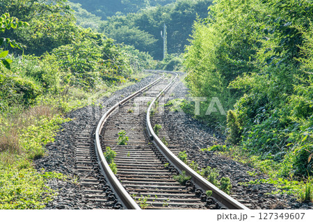 単線の線路（ローカル線イメージ） 127349607