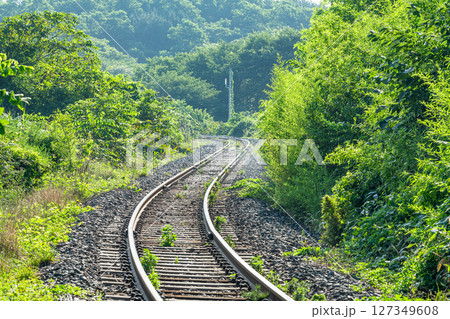 単線の線路（ローカル線イメージ） 127349608