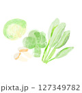 緑の野菜セット 127349782