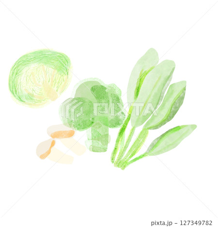 緑の野菜セット 127349782