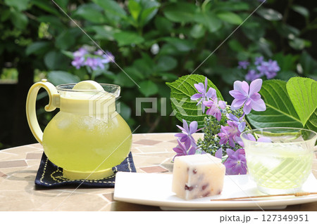 あじさいの花が咲く庭で冷たい緑茶と羊羹のティータイム あじさいの花が咲く庭で冷たい緑茶と羊羹のティータイム 127349951