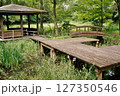 紫陽花が咲くころの磯川緑地公園 127350546