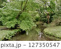 紫陽花が咲くころの磯川緑地公園 127350547