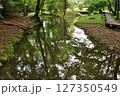 紫陽花が咲くころの磯川緑地公園 127350549