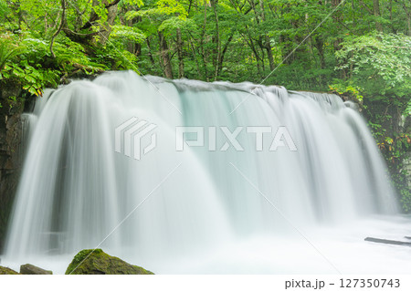 青森県十和田市　夏の奥入瀬渓流　銚子の滝 127350743