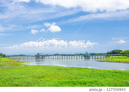 青森県鶴田町　人気の観光スポット　夏の鶴の舞橋 127350943