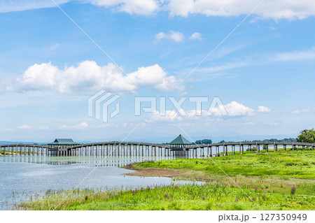 青森県鶴田町　人気の観光スポット　夏の鶴の舞橋 127350949