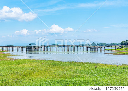 青森県鶴田町　人気の観光スポット　夏の鶴の舞橋 127350952