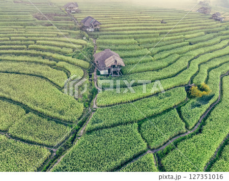 Landscape of green rice terraces and traditional huts in a village near Chiangmai, Thailand. Travel destinations. Beauty of terraced rice fields. Rural life and traditional farming practices in Asia. Landscape of green rice terraces and traditional huts in a village near Chiangmai, Thailand. Travel destinations. Beauty of terraced rice fields. Rural life and traditional farming practices in Asia. 127351016