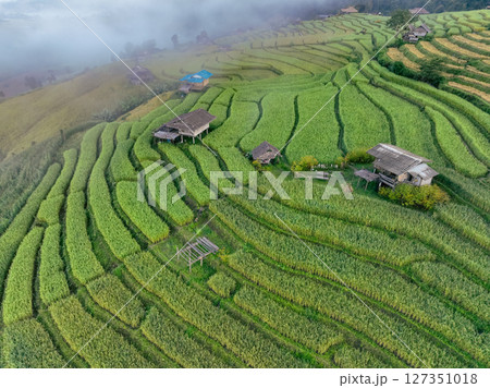Landscape of green rice terraces and traditional huts in a village near Chiangmai, Thailand. Travel destinations. Beauty of terraced rice fields. Rural life and traditional farming practices in Asia. 127351018