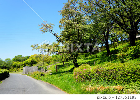 童謡の森ふれあいパーク  2025-5-3　＃5 127351195