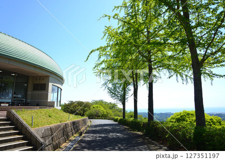 童謡の森ふれあいパーク  2025-5-3　＃7 127351197