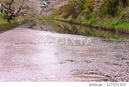 弘前公園の桜と花筏の美しさ 弘前公園の桜と花筏の美しさ 127351333
