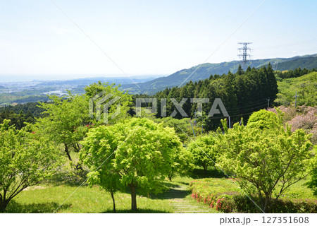 童謡の森ふれあいパーク 2025-5-3 #12 童謡の森ふれあいパーク 2025-5-3 #12 127351608