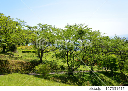 童謡の森ふれあいパーク　2025-5-3　＃19 127351615