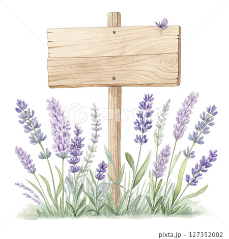 Wooden sign The most beautiful flower in the world is under the sign watercolor Wooden sign The most beautiful flower in the world is under the sign watercolor 127352002