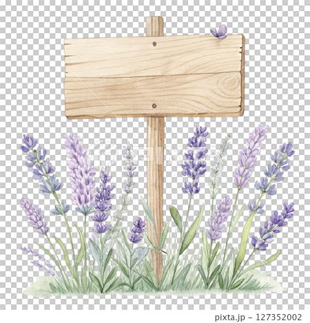 Wooden sign The most beautiful flower in the world is under the sign watercolor Wooden sign The most beautiful flower in the world is under the sign watercolor 127352002