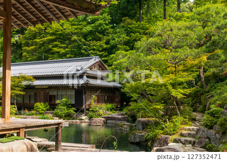 新緑の百済寺・本坊喜見院庭園 新緑の百済寺・本坊喜見院庭園 127352471