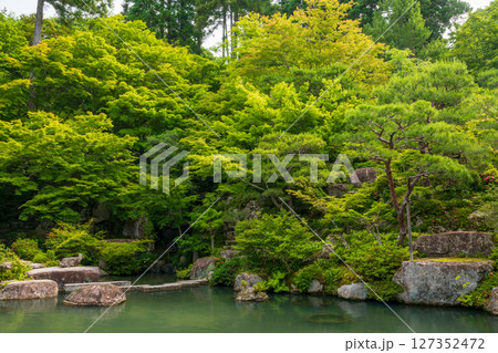 新緑の百済寺・本坊庭園 127352472
