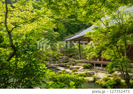 百済寺の新緑の本坊喜見院 127352473