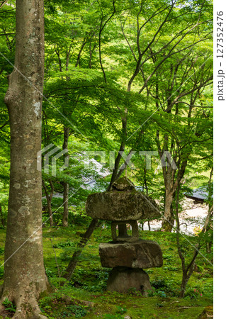 新緑の百済寺・石灯籠 127352476