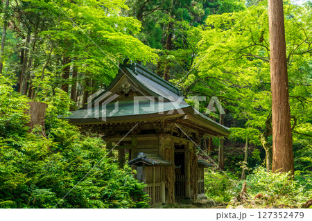 新緑の百済寺・仁王門 127352479