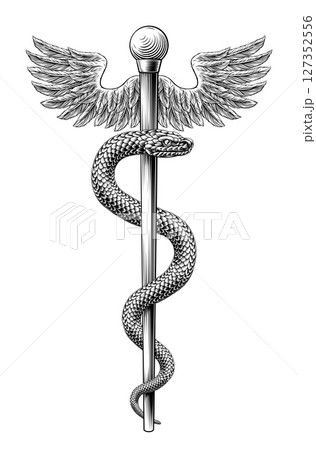 Rod of Asclepius Caduceus Medical Doctor Symbol Rod of Asclepius Caduceus Medical Doctor Symbol 127352556