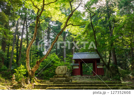 新緑の百済寺・赤門 127352608