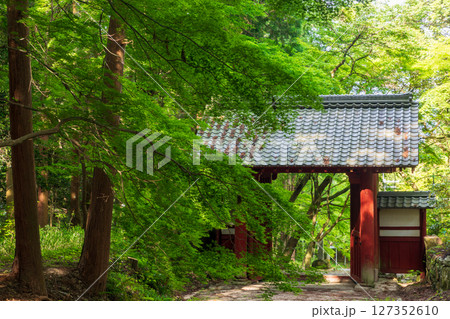 新緑の百済寺参道と赤門 新緑の百済寺参道と赤門 127352610
