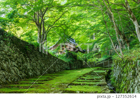 新緑の百済寺・表門 新緑の百済寺・表門 127352614