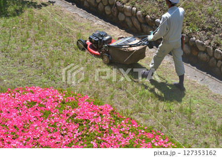 植木職人　自走式草刈機で草地の刈込作業風景 127353162