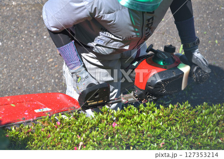 植木職人　エンジンバリカンで庭木の手入れ　刈込作業風景 127353214