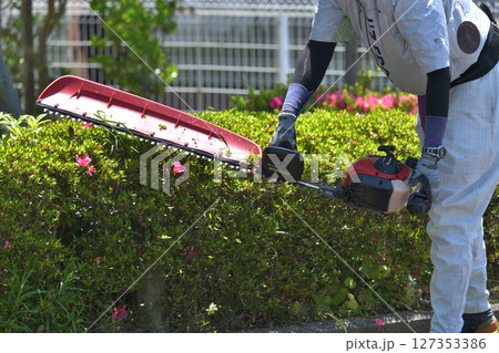 植木職人　エンジンバリカンで庭木の手入れ　刈込作業風景 127353386