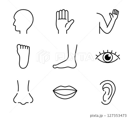 いろいろな体のパーツのシンプルアイコンセット　ベクター 127353473